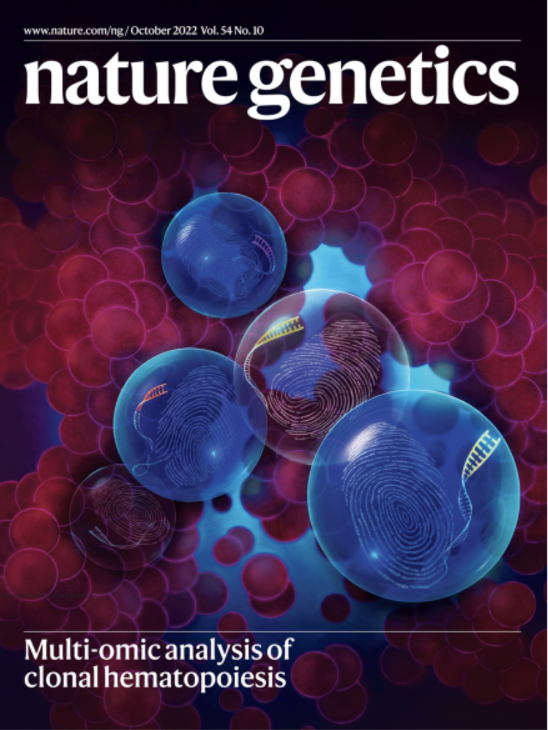 Single-cell multi-omics of human clonal hematopoiesis reveals that DNMT3A R882 mutations perturb early progenitor states through selective hypomethylation