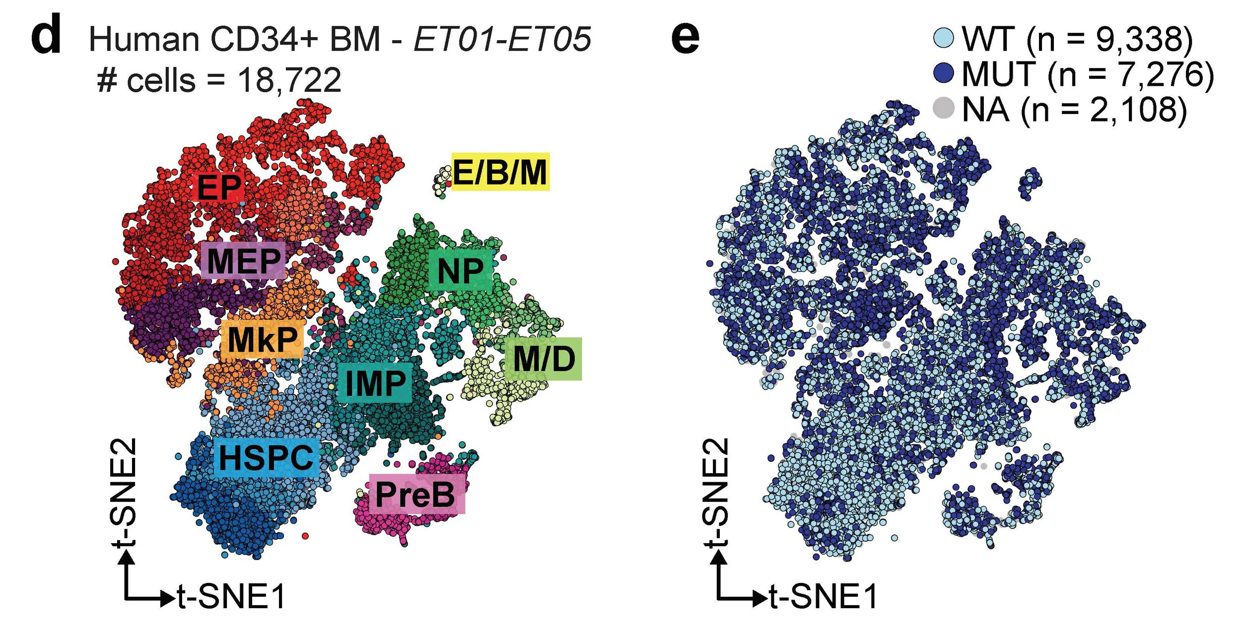 Somatic mutations and cell identity linked by Genotyping of Transcriptomes