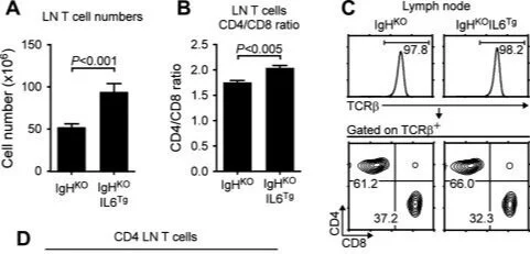 Interleukin-6 expands homeostatic space for peripheral T cells