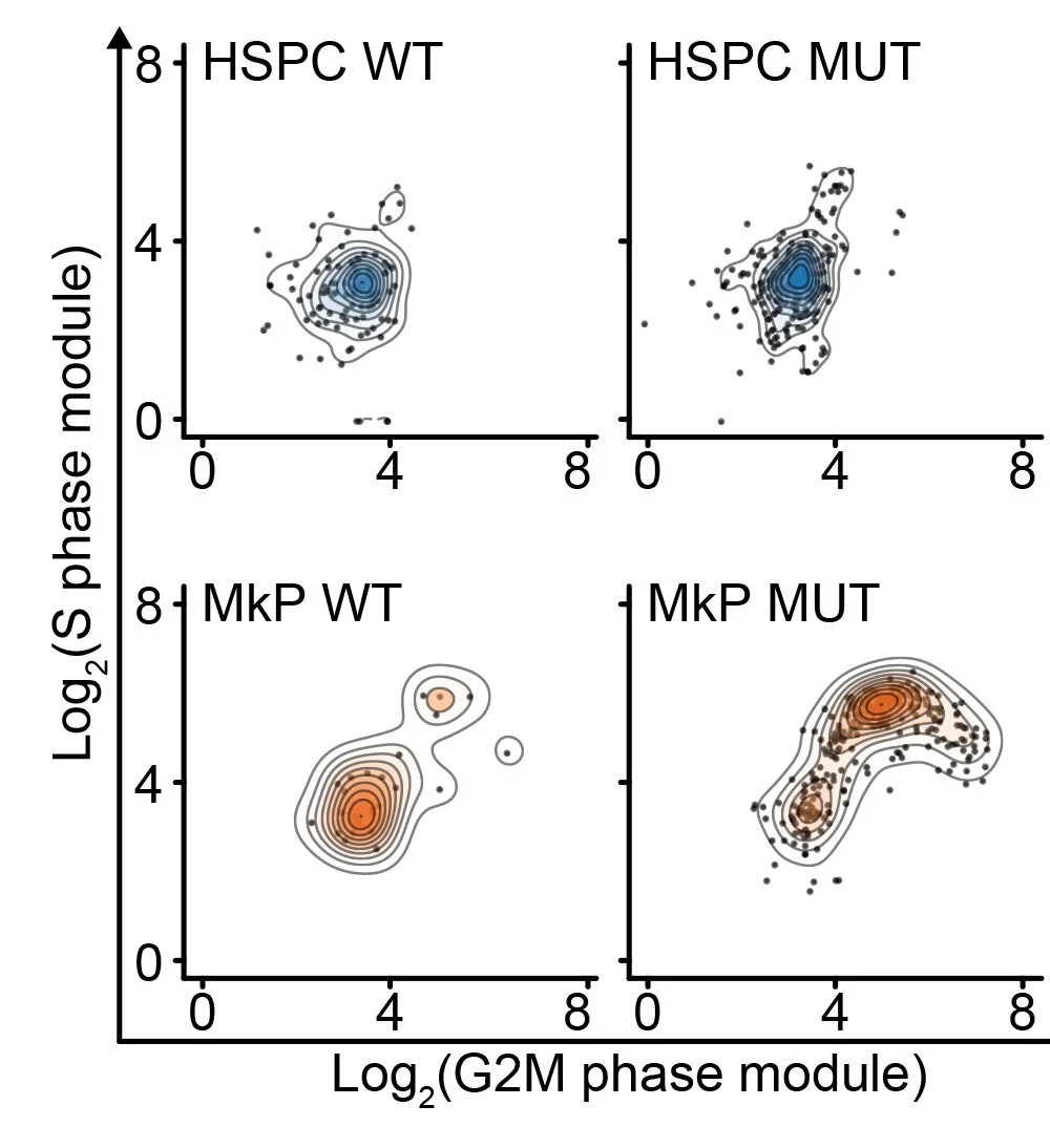 Single-cell analysis figure